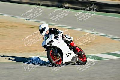 media/Dec-12-2025-2WTD (Fri) [[7c7cc9b1da]]/B Group/Session 5/